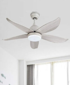 Quat Tran Co Den Qd113