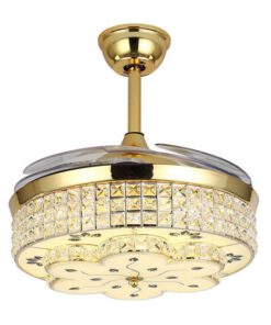 4467383112 2031878559 768x768