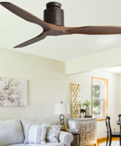 Quat Tran Phong Khach 1