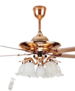 Z3551787628135 21dd074777ad00d4fb3af209fb9d2c5d